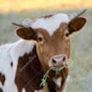 Meet your Posher, Kyleigh